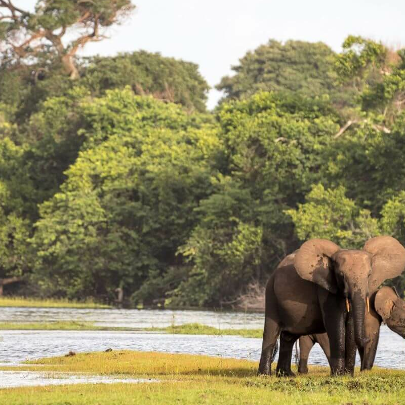 Loango Nationalpark