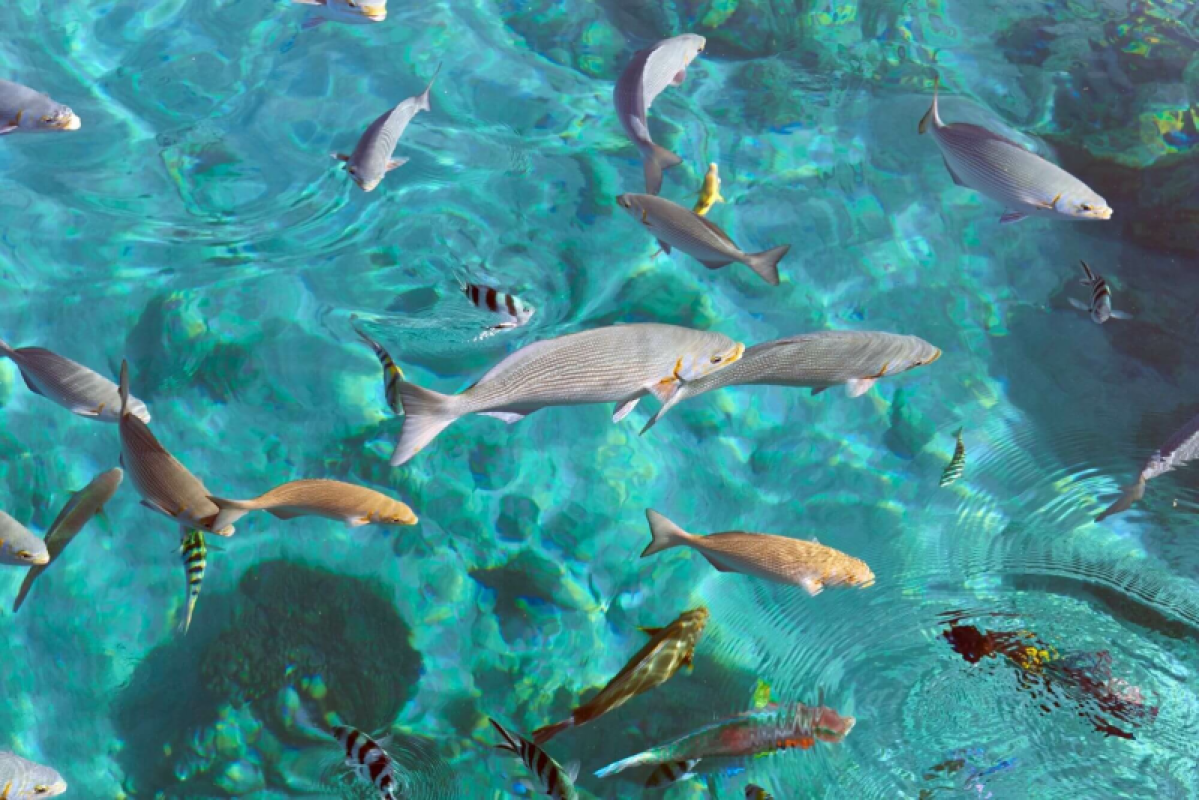 Lombok und Gili