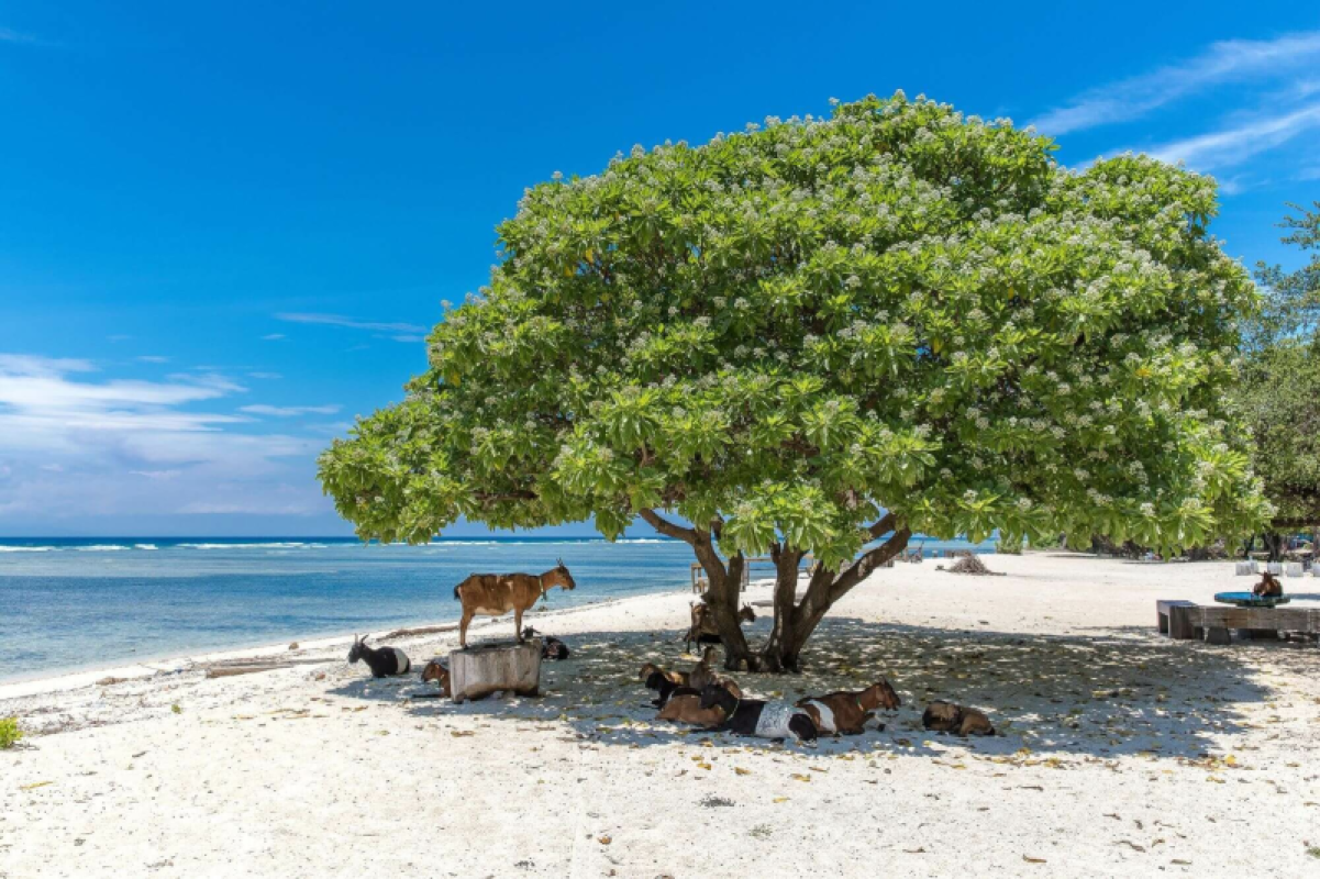 Lombok und Gili