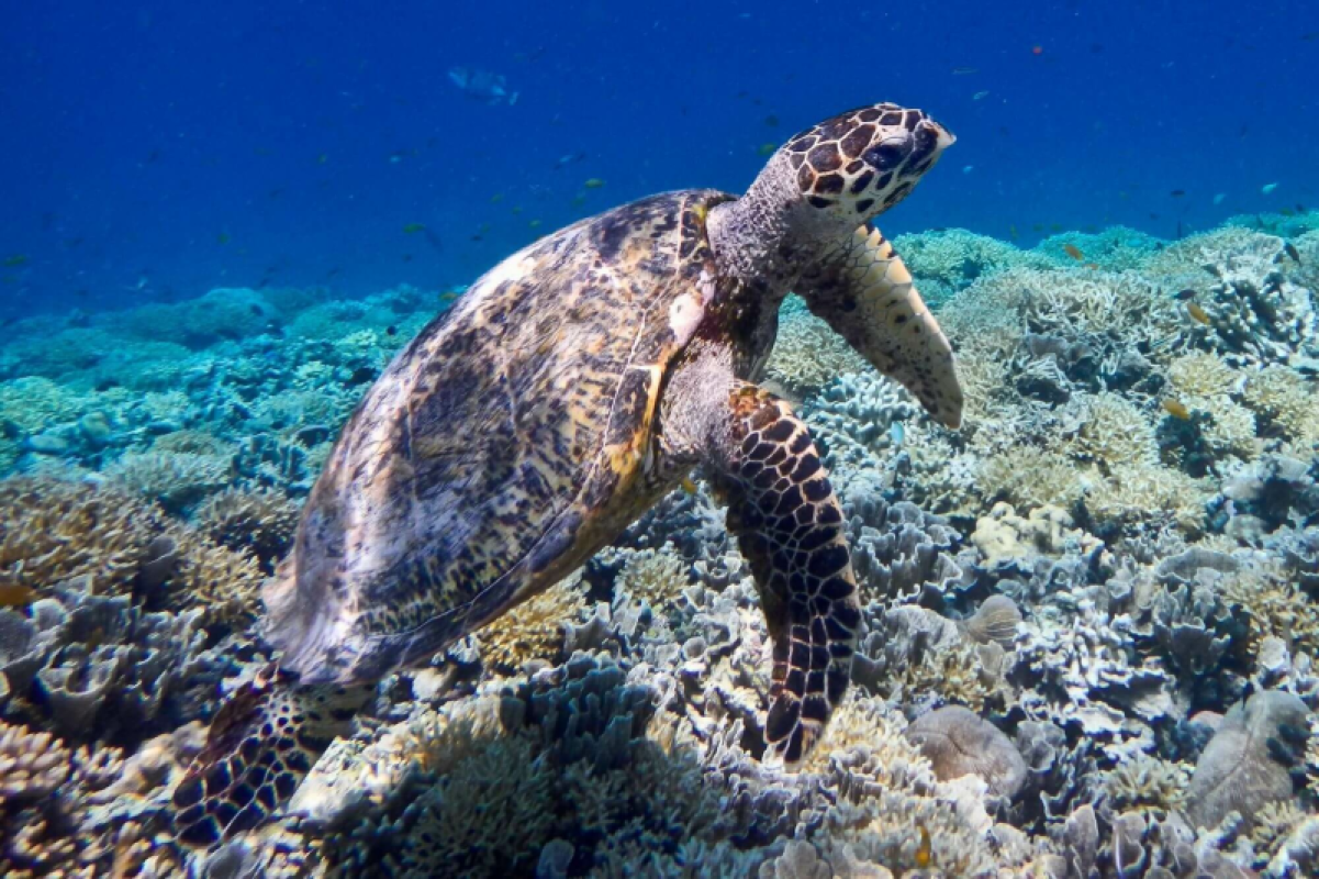 Lombok und Gili