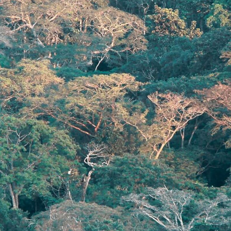 Lope Nationalpark