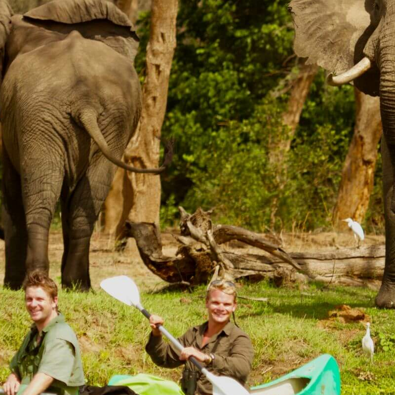 Lower Zambezi