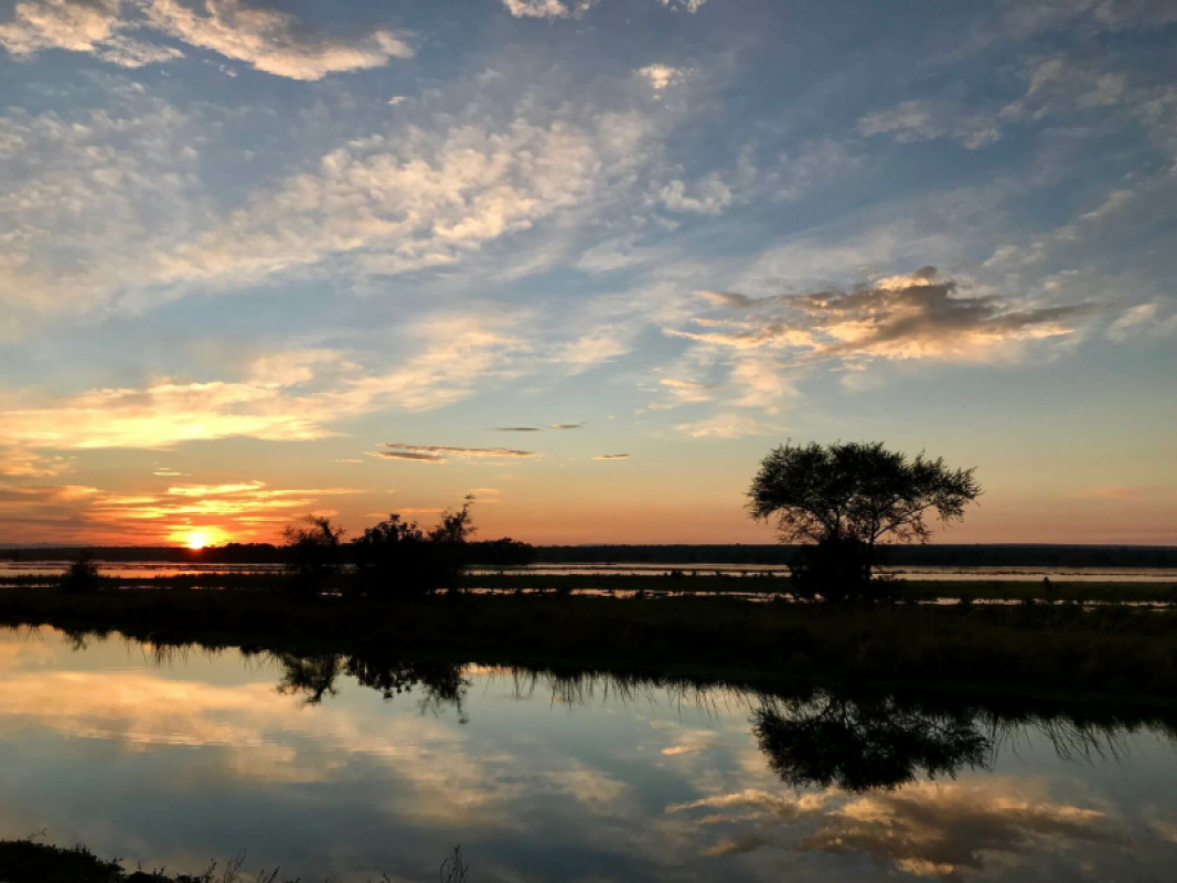 Lower Zambezi