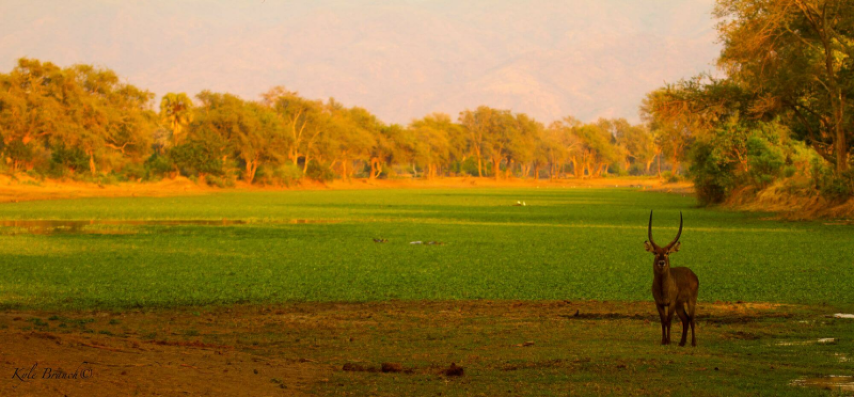 Lower Zambezi