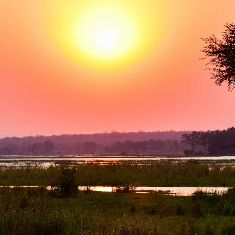 Lower Zambezi