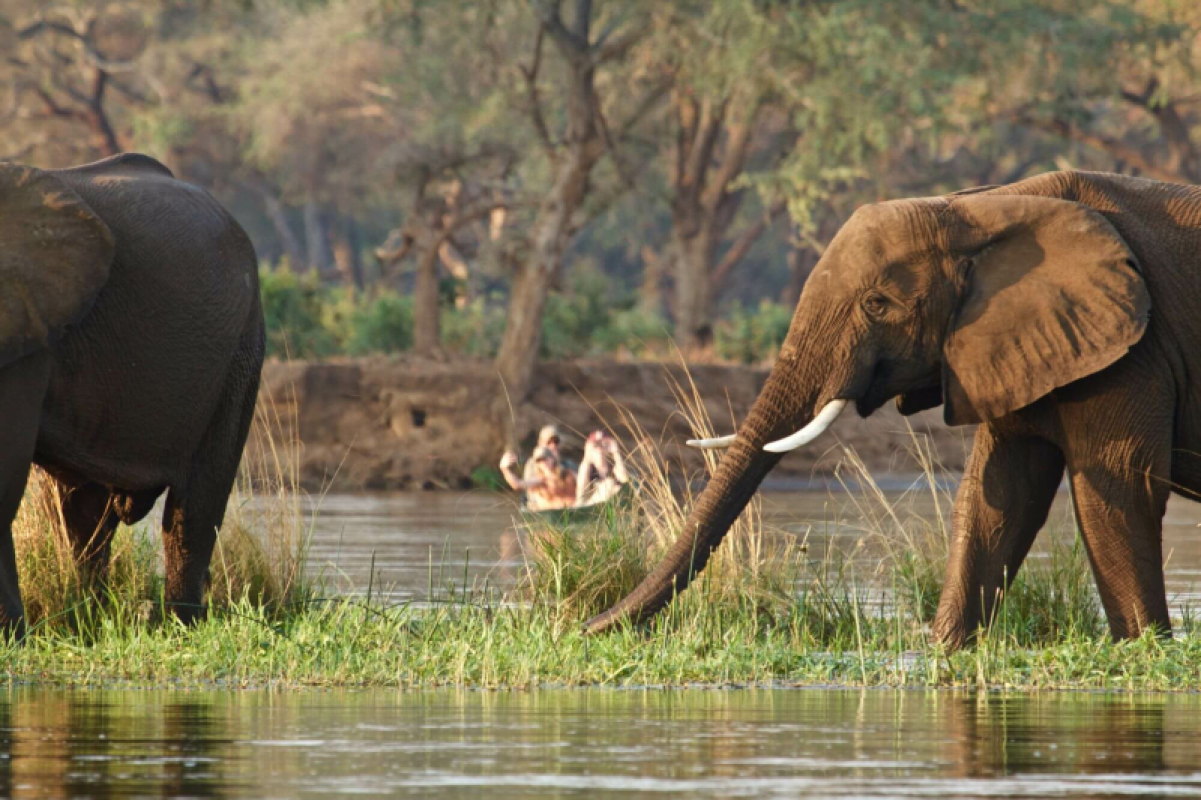 Lower Zambezi