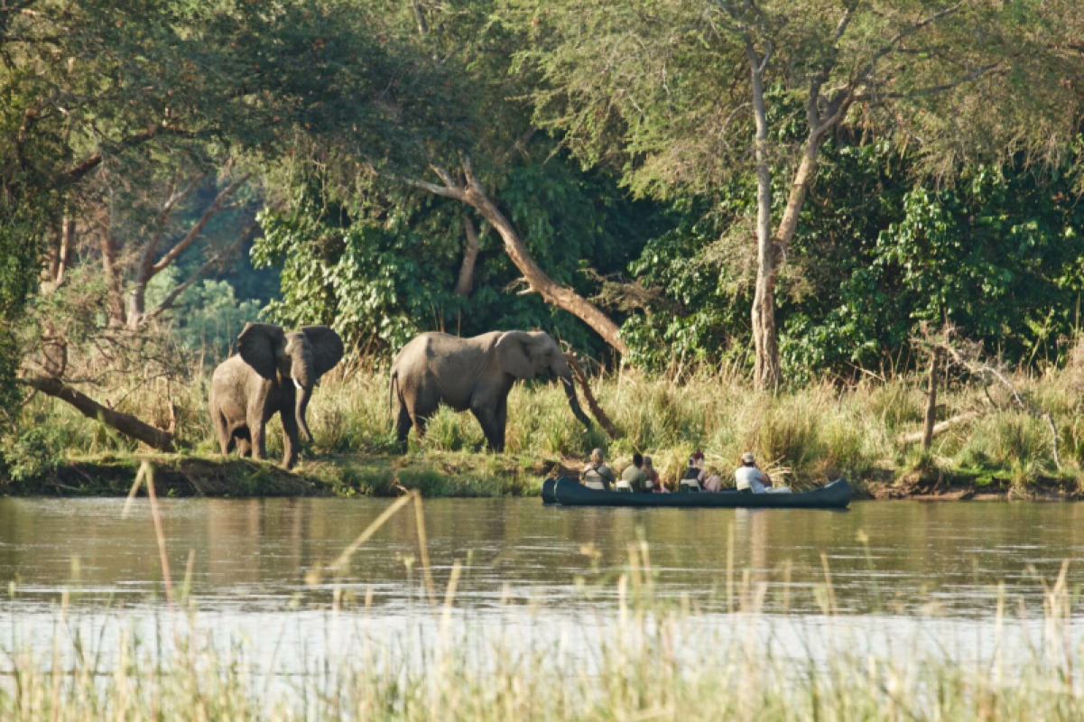 Lower Zambezi