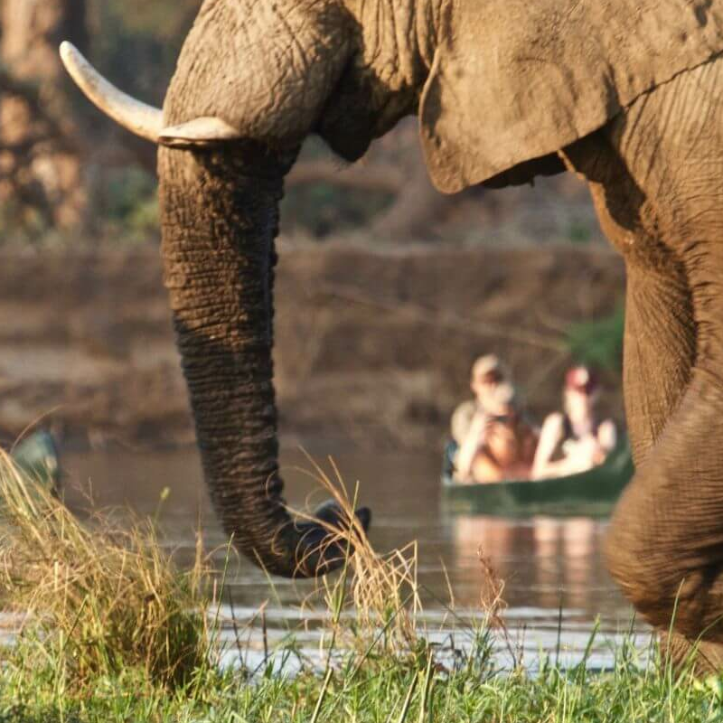 Lower Zambezi