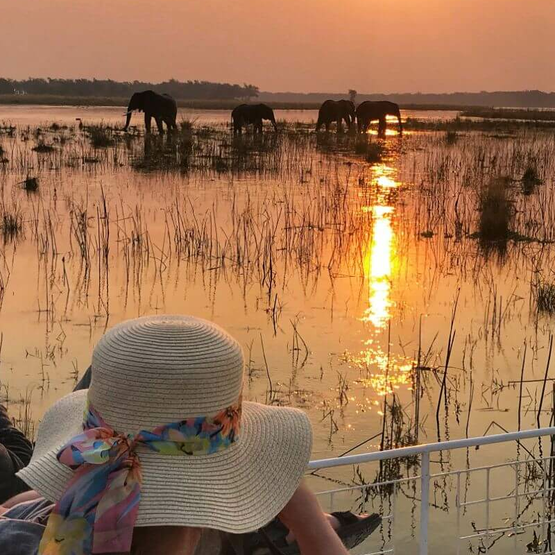 Lower Zambezi