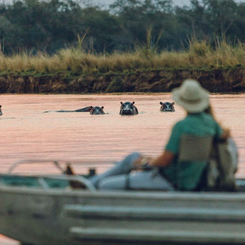 Lower Zambezi
