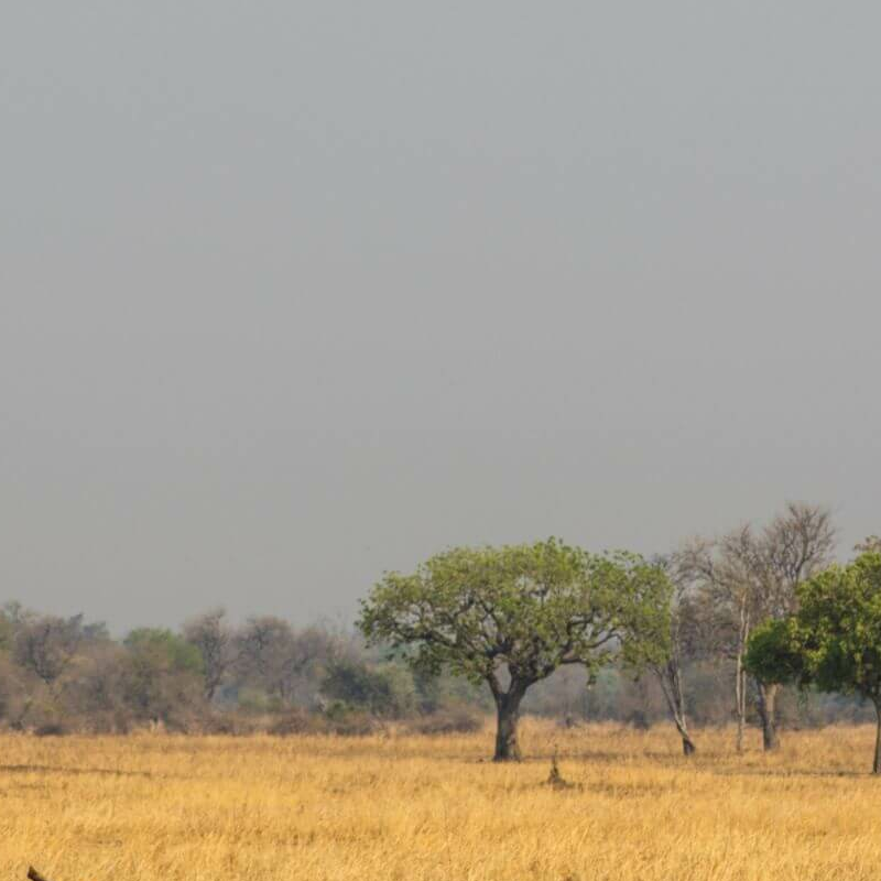 Sambia Grand Safari