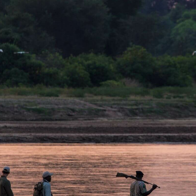 Sambia Grand Safari