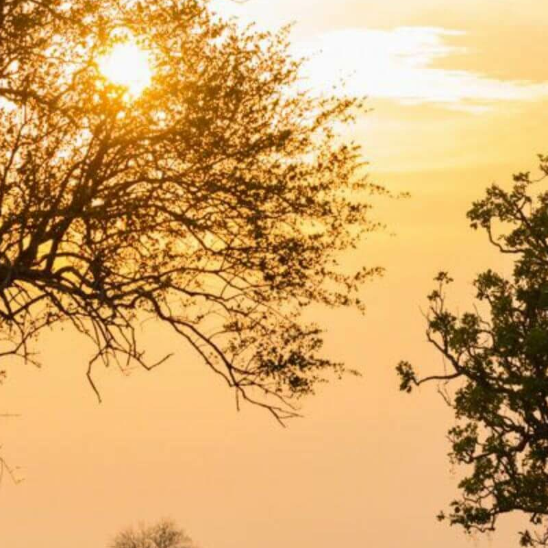 Sambia Grand Safari