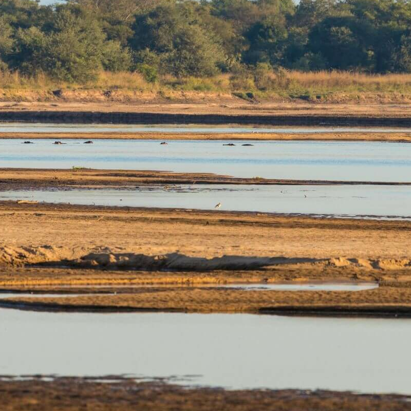 Sambia Grand Safari