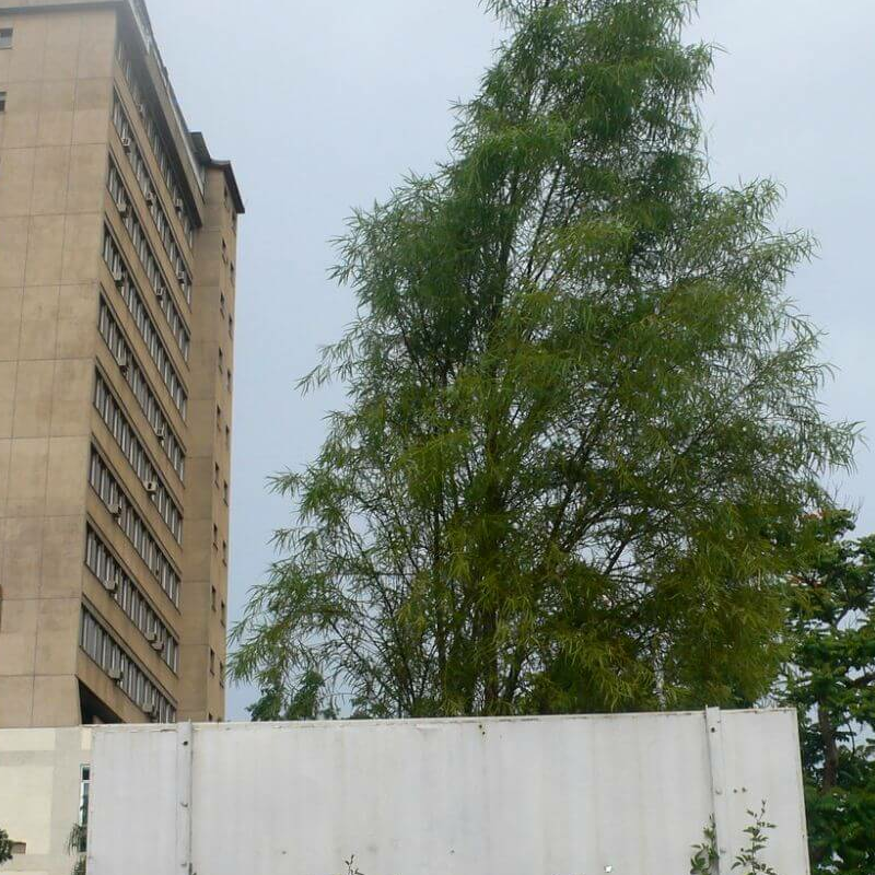 Lusaka