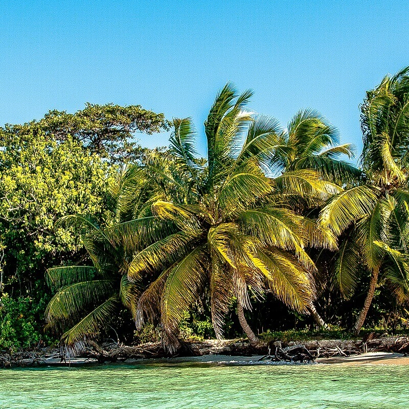 Madagaskar Best of Best