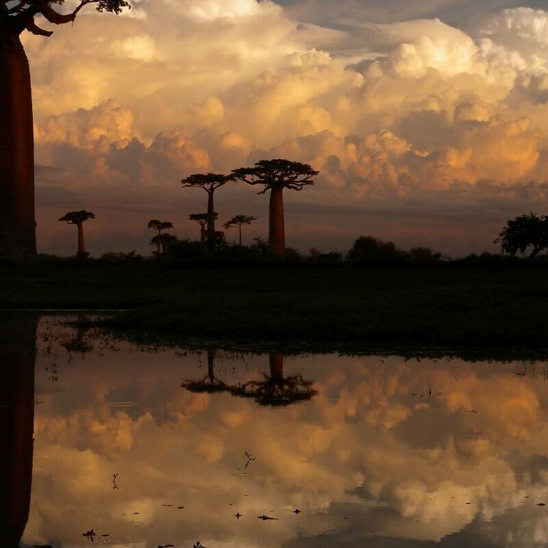 Madagaskar Best of Best
