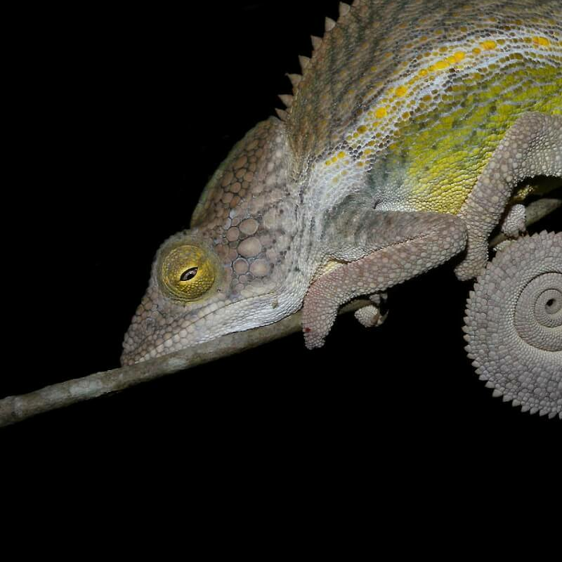 Madagaskar Best of Best