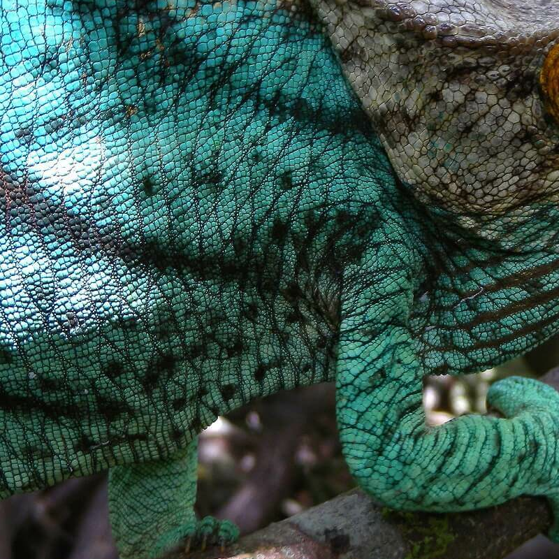 Madagaskar Best of Best