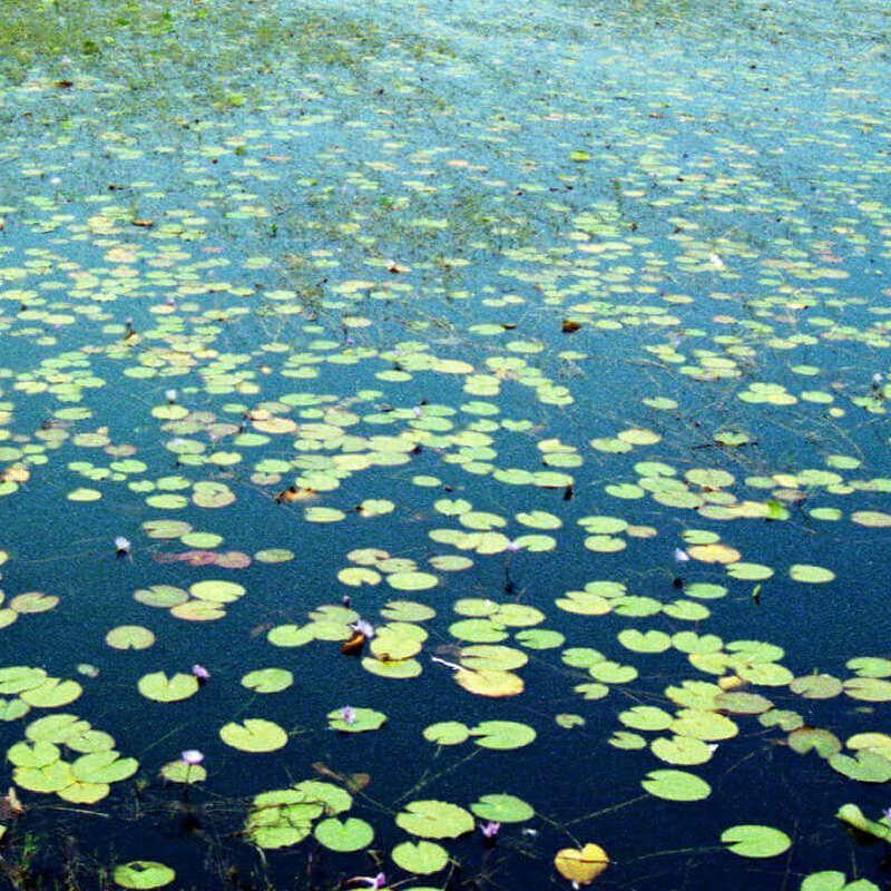Mahale Nationalpark