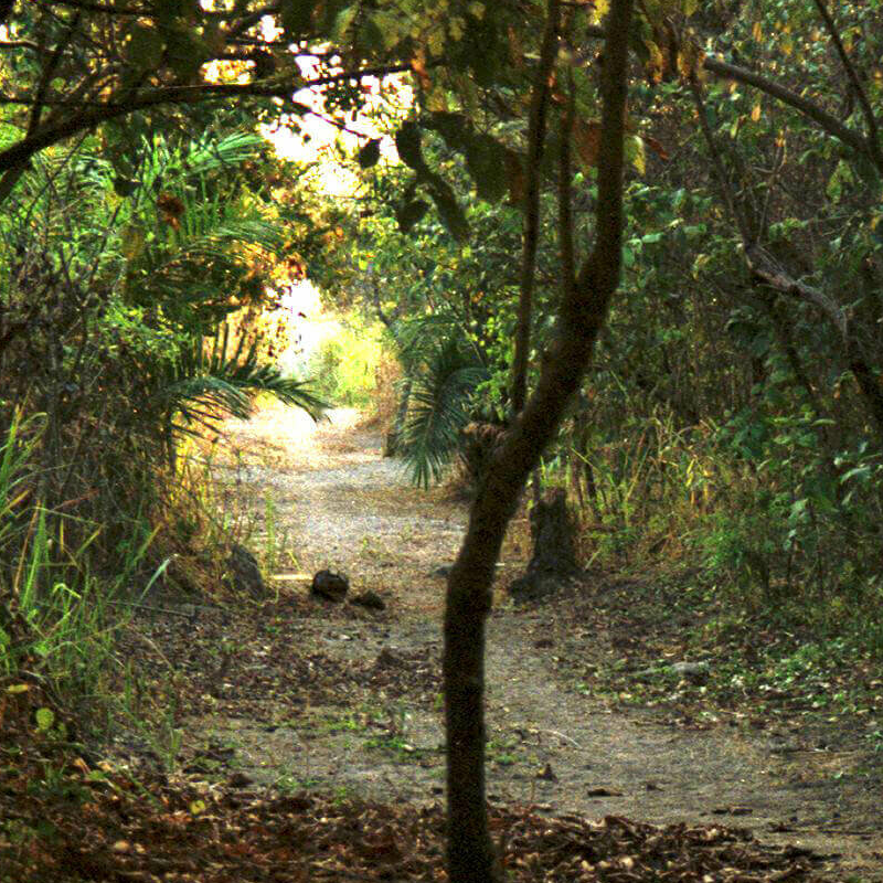 Mahale Nationalpark