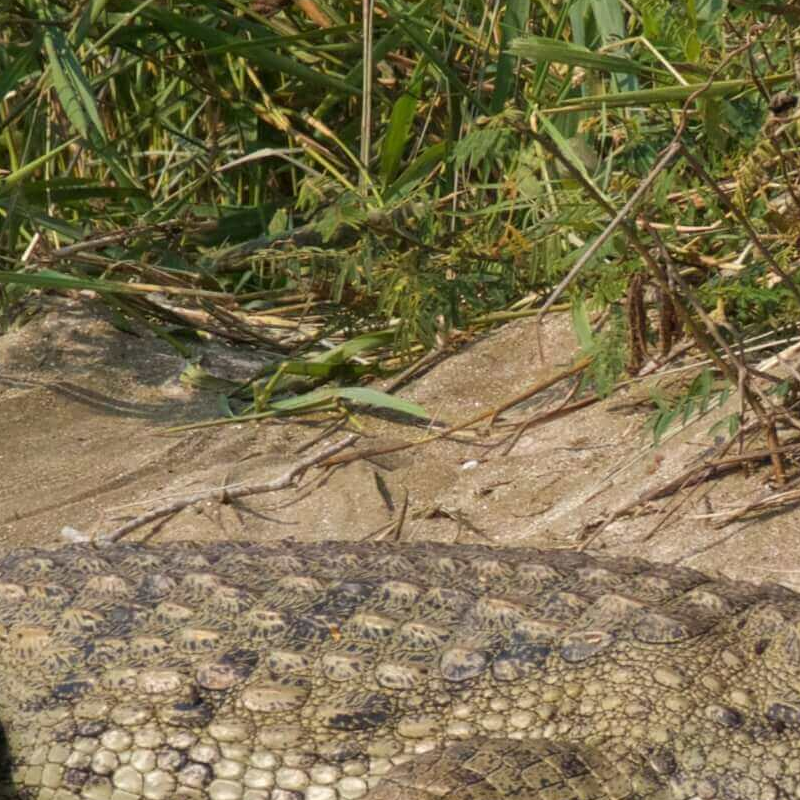 Mahale Nationalpark