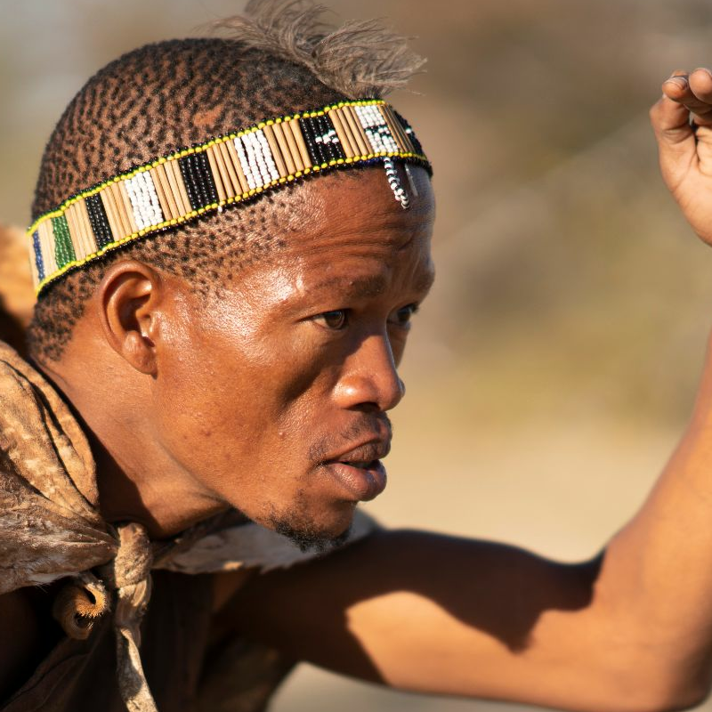 Botswana Superlativ Safari: Okavango und Kalahari