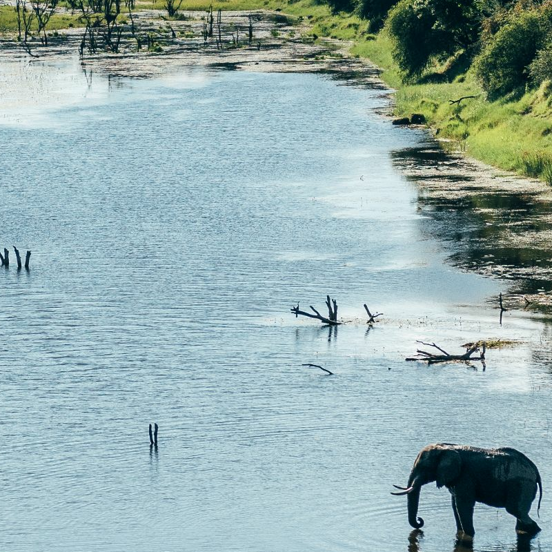 Botswana Superlativ Safari: Okavango und Kalahari