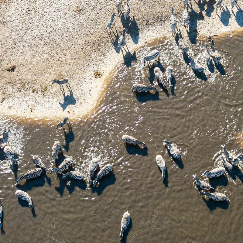 Botswana Superlativ Safari: Okavango und Kalahari