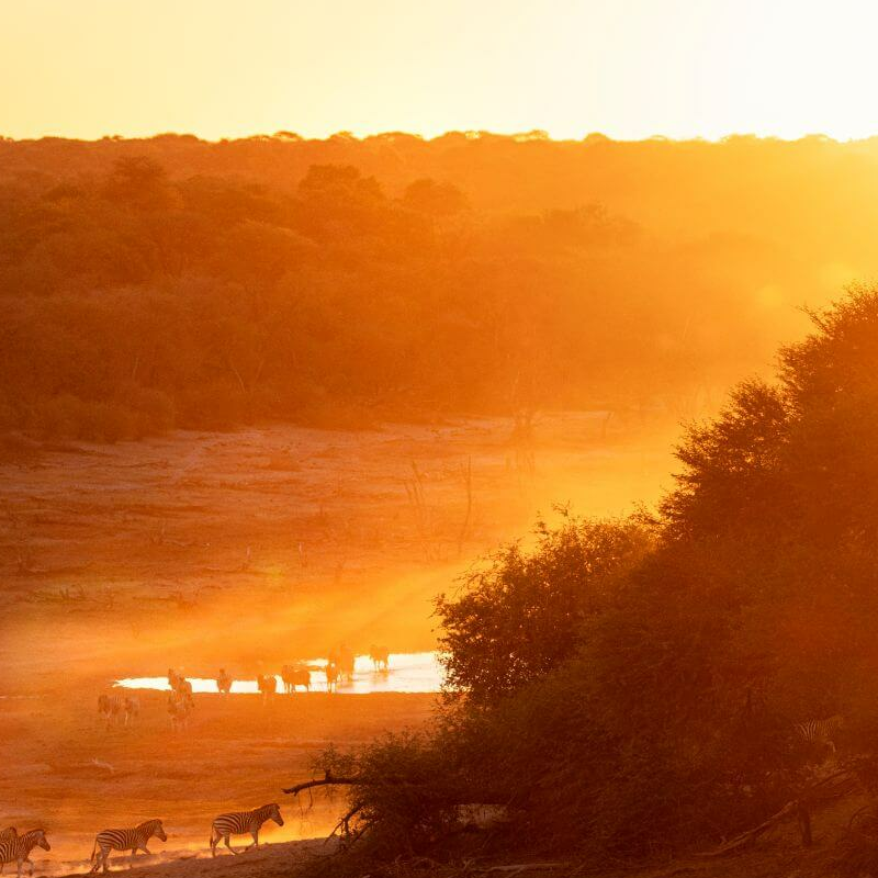 Botswana Superlativ Safari: Okavango und Kalahari