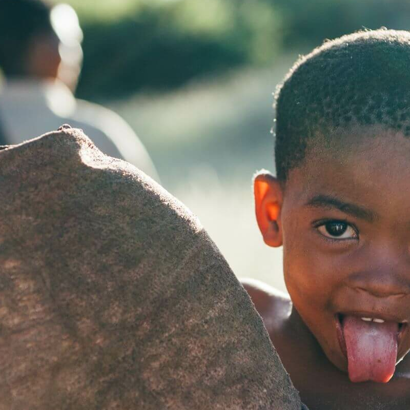 Botswana Superlativ Safari: Okavango und Kalahari