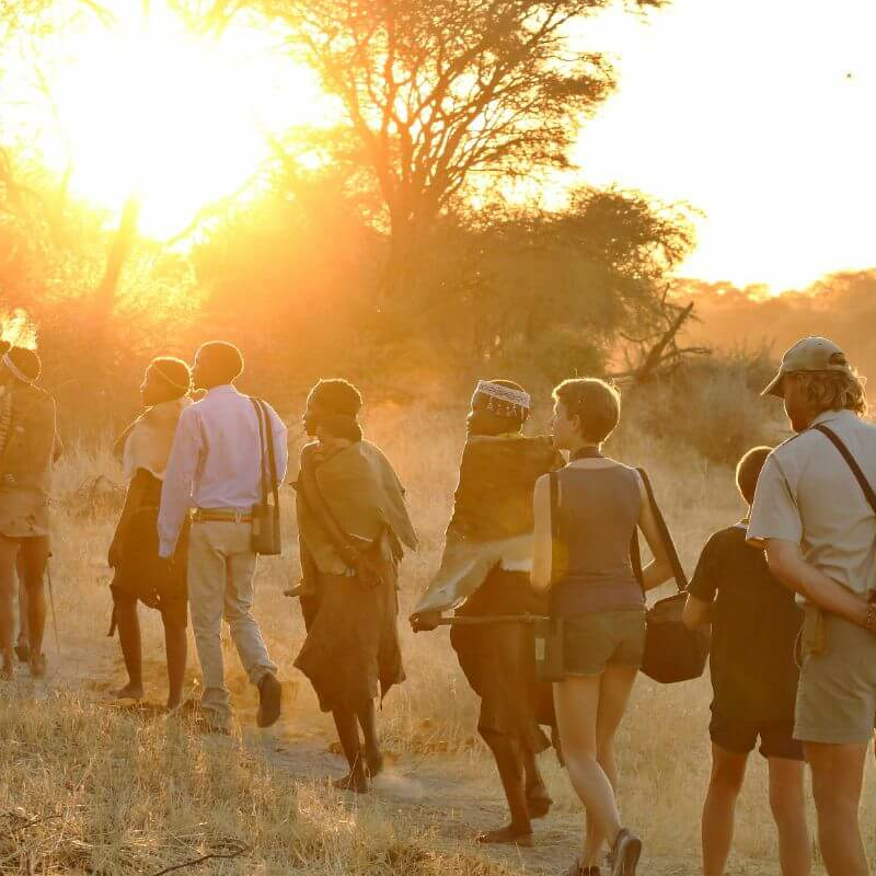 Botswana Superlativ Safari: Okavango und Kalahari