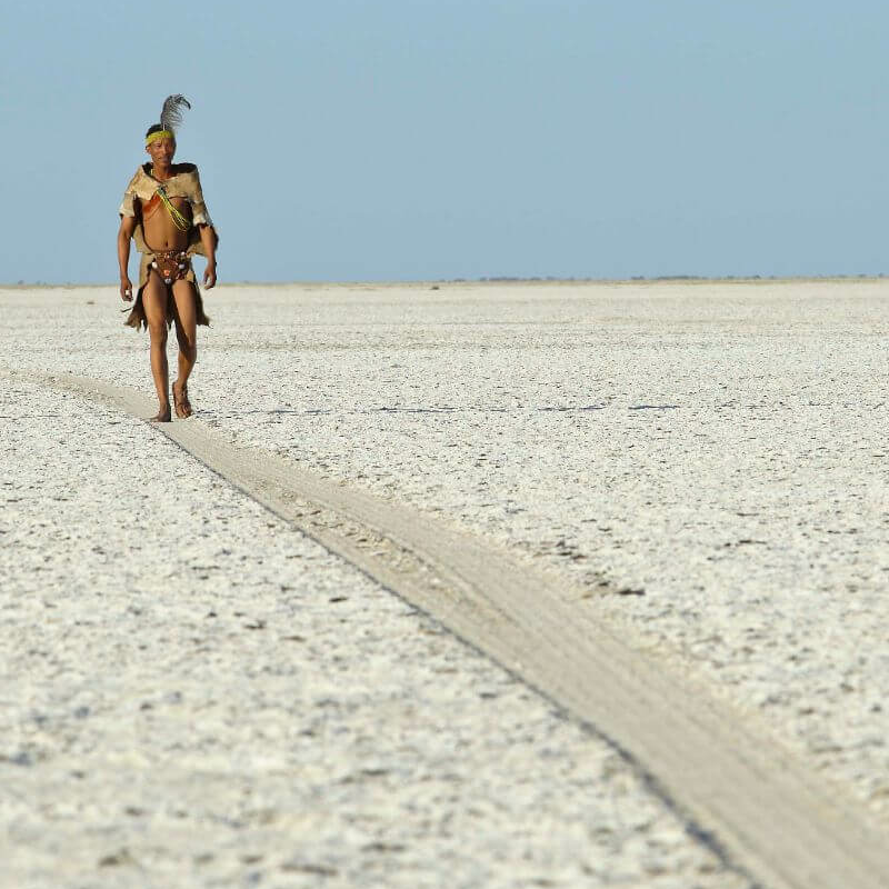 Botswana Superlativ Safari: Okavango und Kalahari