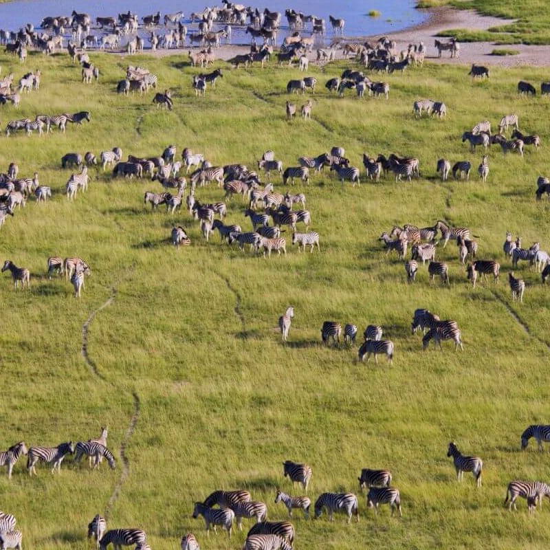Botswana Superlativ Safari: Okavango und Kalahari