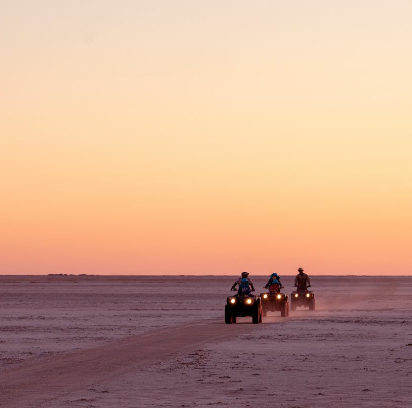 Botswana Superlativ Safari: Okavango und Kalahari