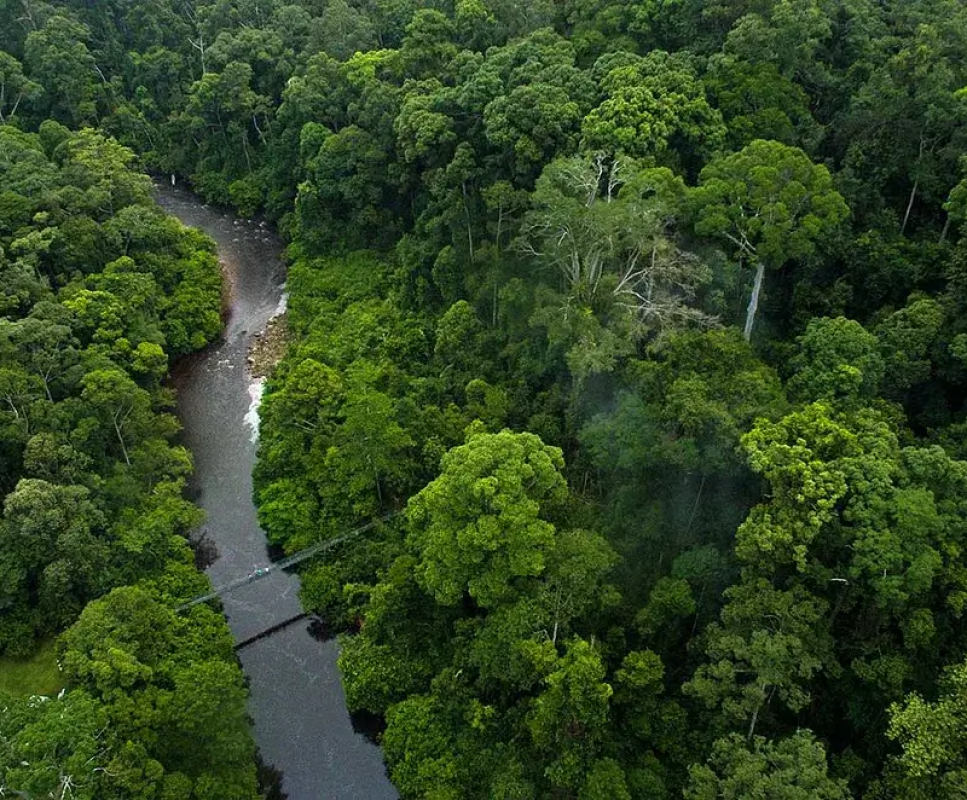 Maliau Basin