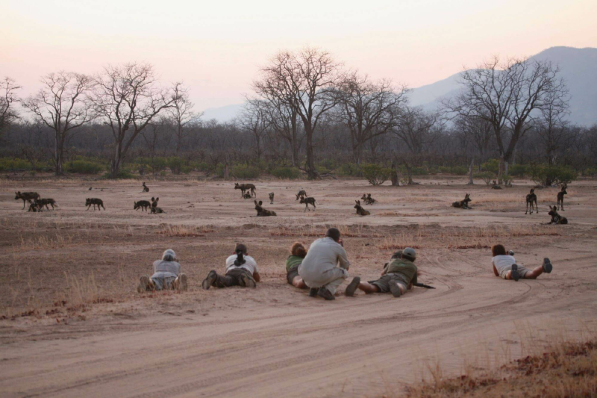 Mana Pools Nationalpark