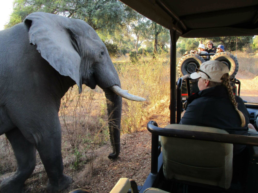 Mana Pools Nationalpark