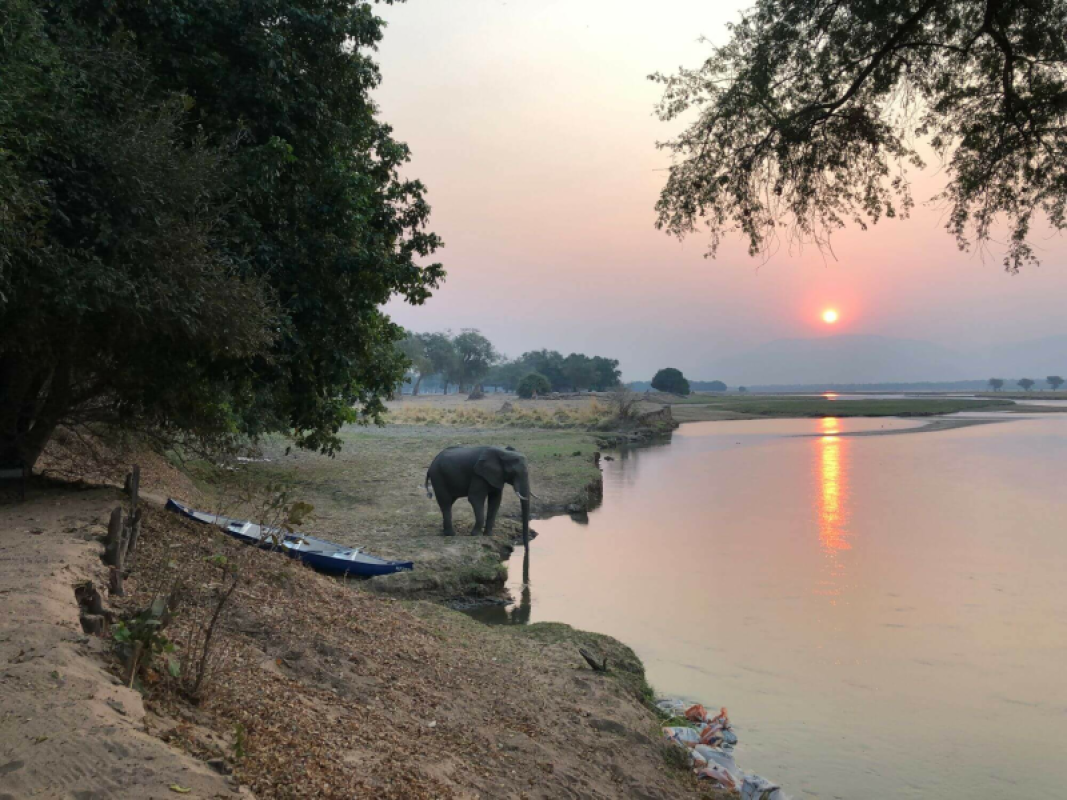Mana Pools Nationalpark