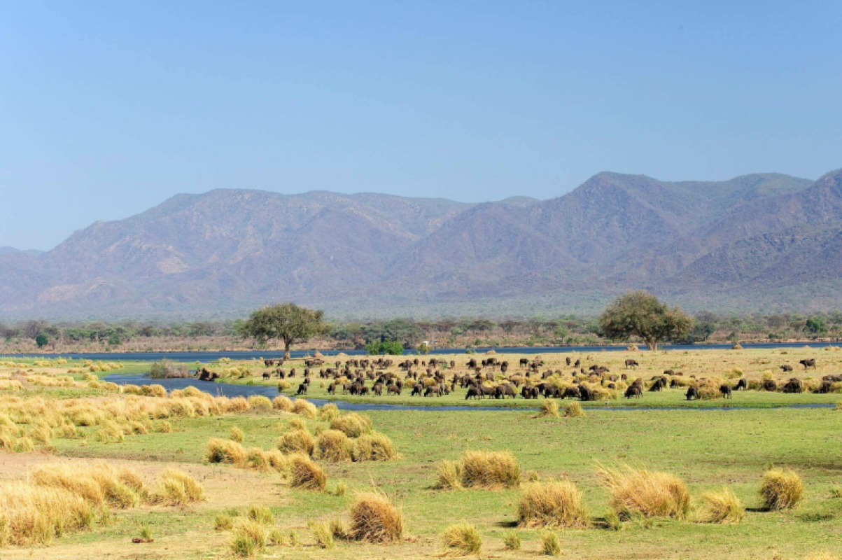 Mana Pools Nationalpark
