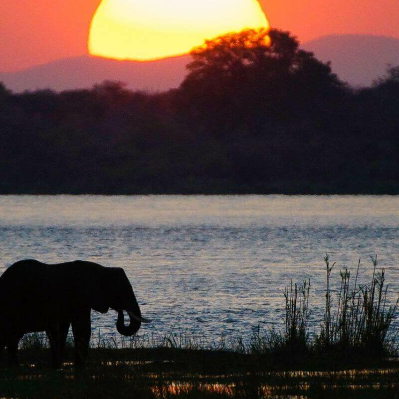 Mana Pools Nationalpark