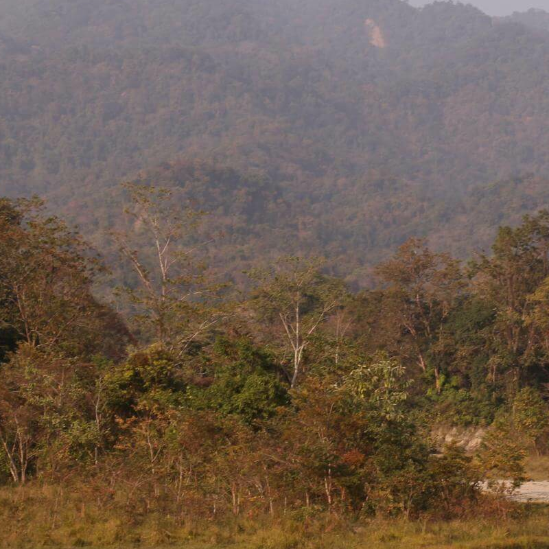 Manas-Nationalpark