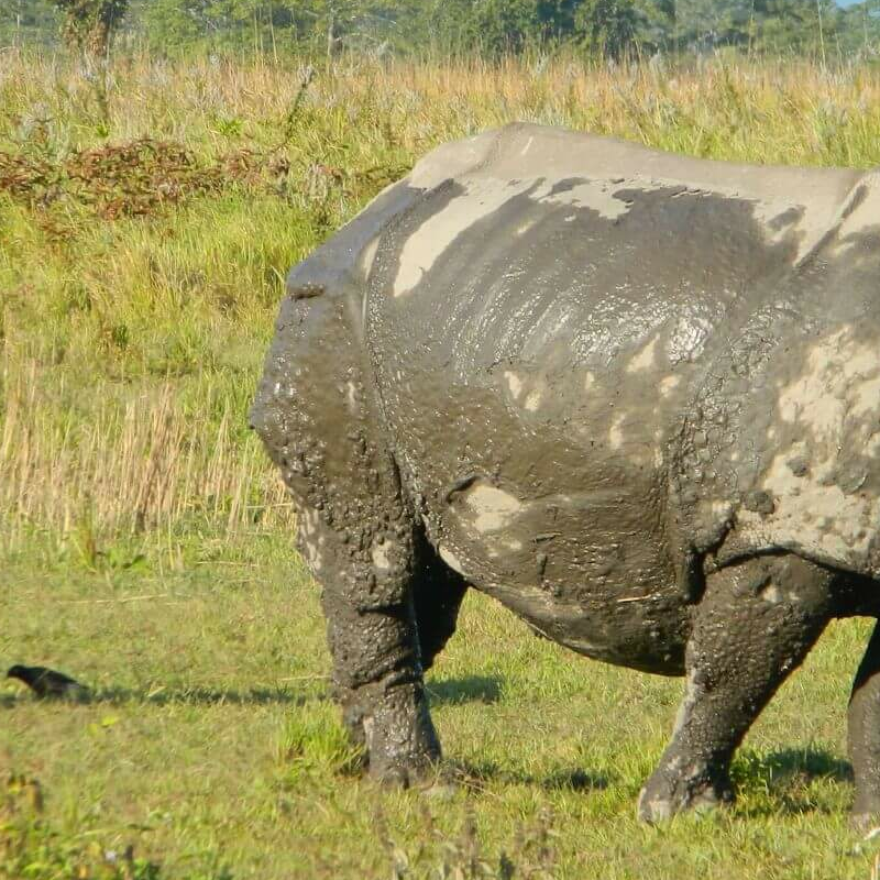 Manas-Nationalpark