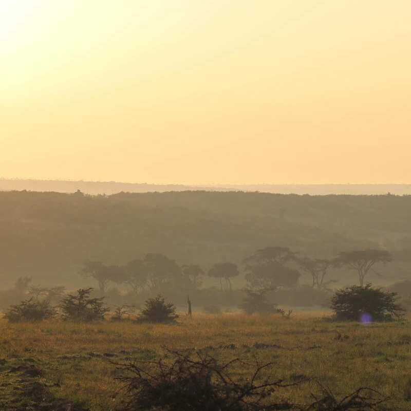 Kenia Safari für Kenner: Samburu, Laikipia und die Mara