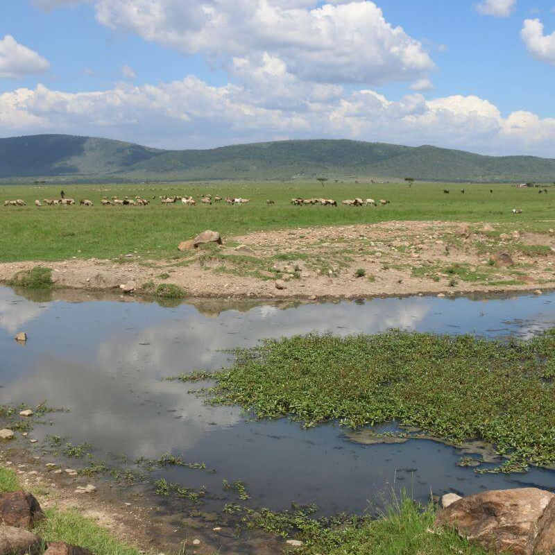 Kenia Safari für Kenner: Samburu, Laikipia und die Mara
