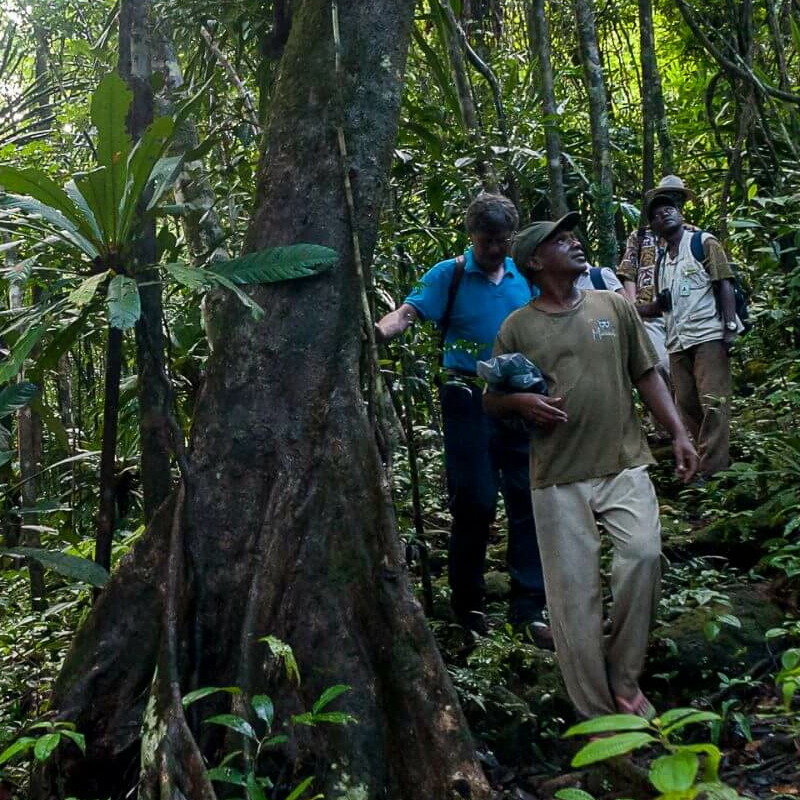 Masoala Nationalpark