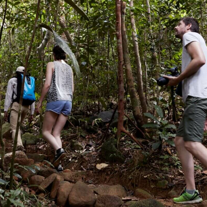 Masoala Nationalpark