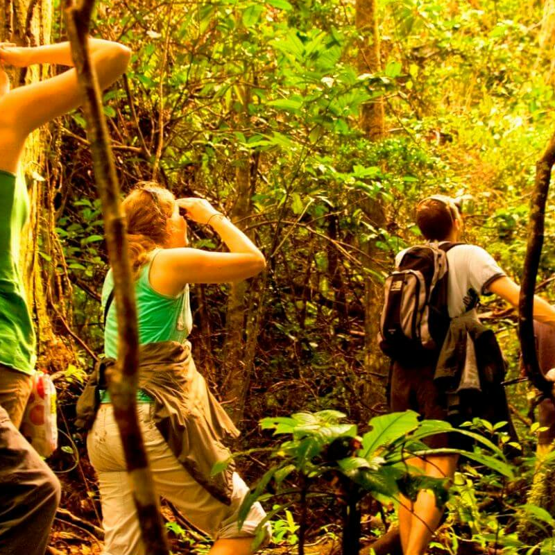 Masoala Nationalpark