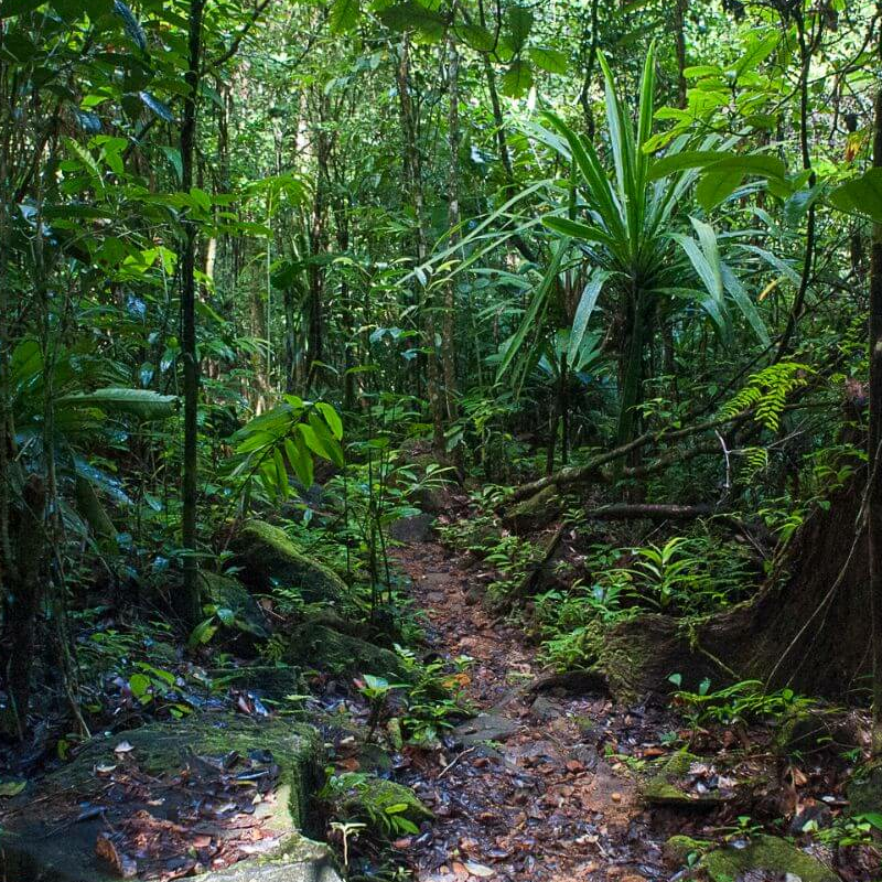 Masoala Nationalpark