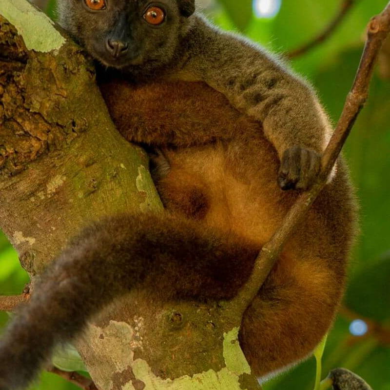 Masoala Nationalpark